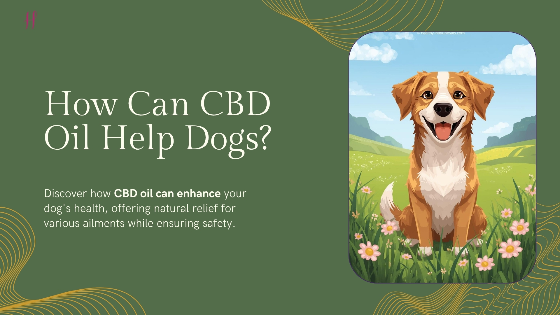 CBD Oil Help in treating dogs?